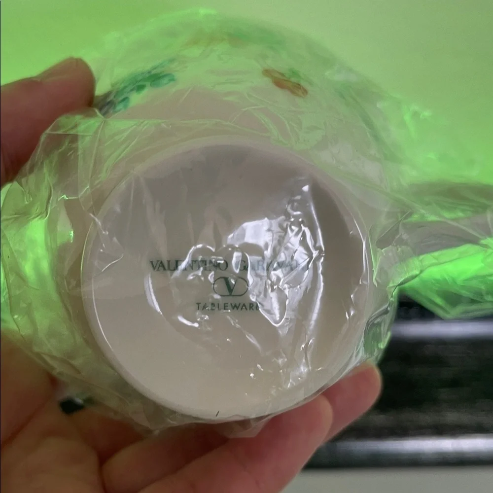 Valentino Garavani valentino garavani
